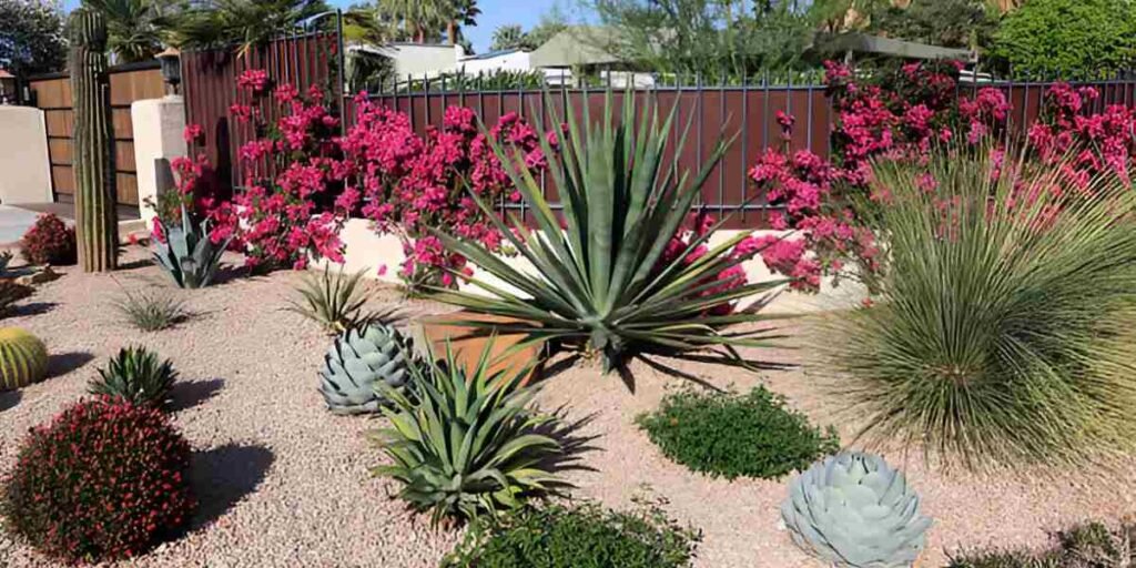 The Benefits of Xeriscaping for Water Conservation in landscape