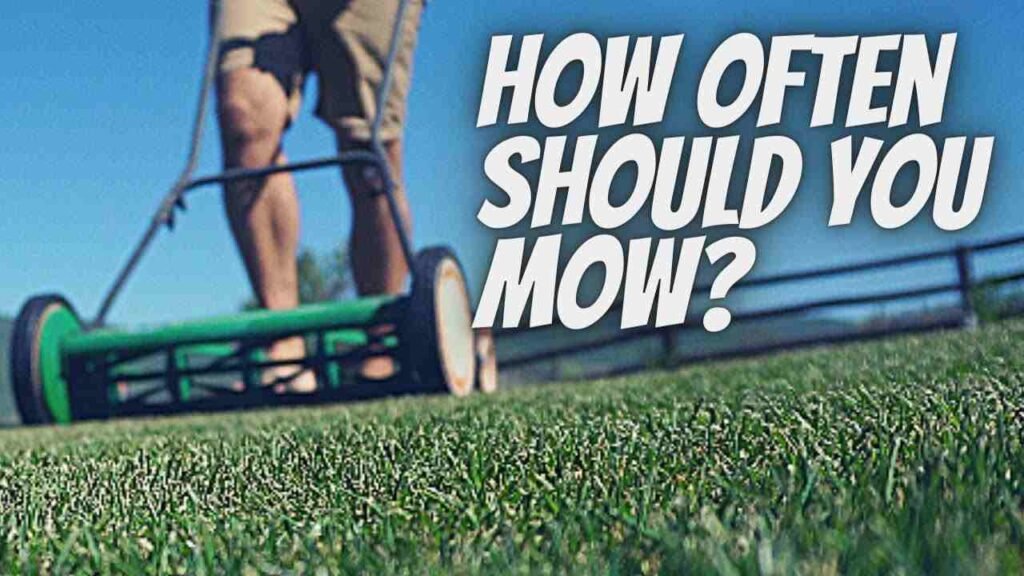 How often should my lawn be mowed in Liberty Township?