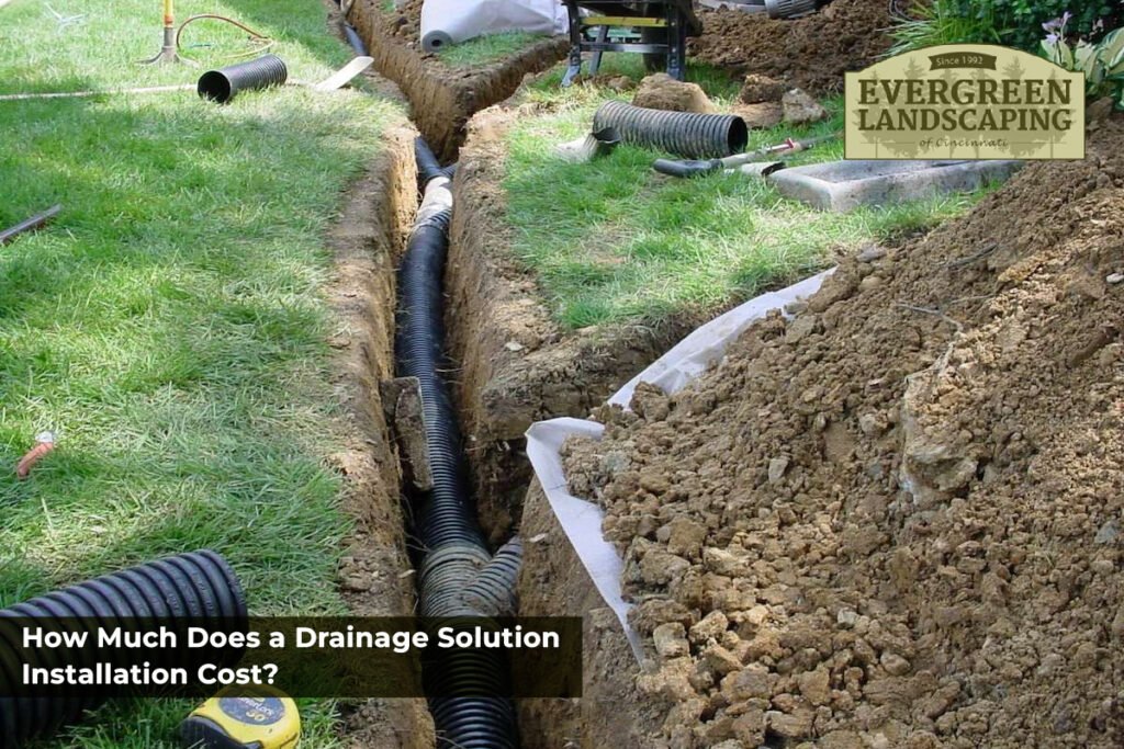 drainage solution