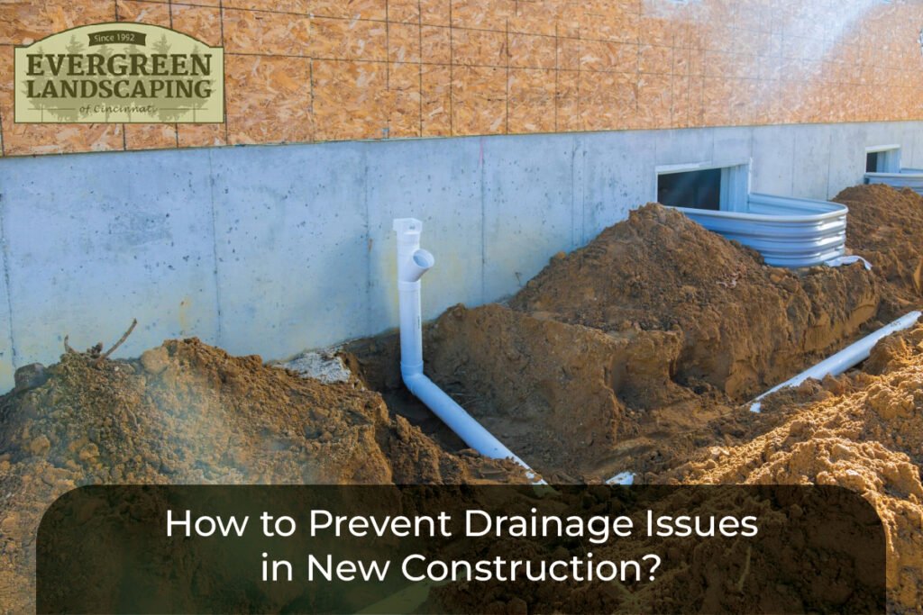 drainage